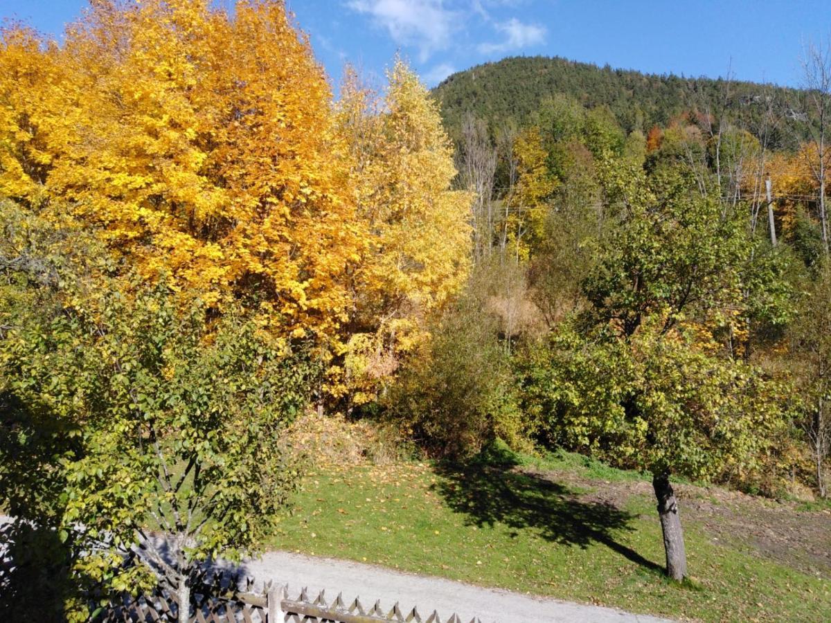 Ferienhaus Bauer Trattenbach  Dış mekan fotoğraf
