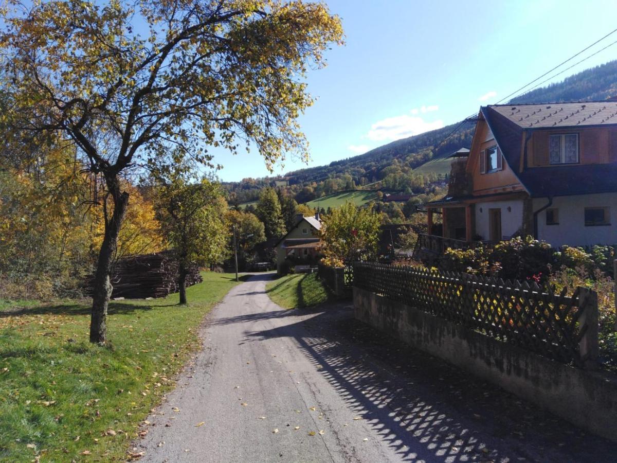 Ferienhaus Bauer Trattenbach  Dış mekan fotoğraf