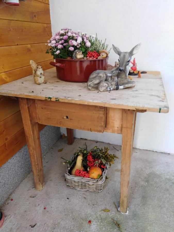 Ferienhaus Bauer Trattenbach  Dış mekan fotoğraf