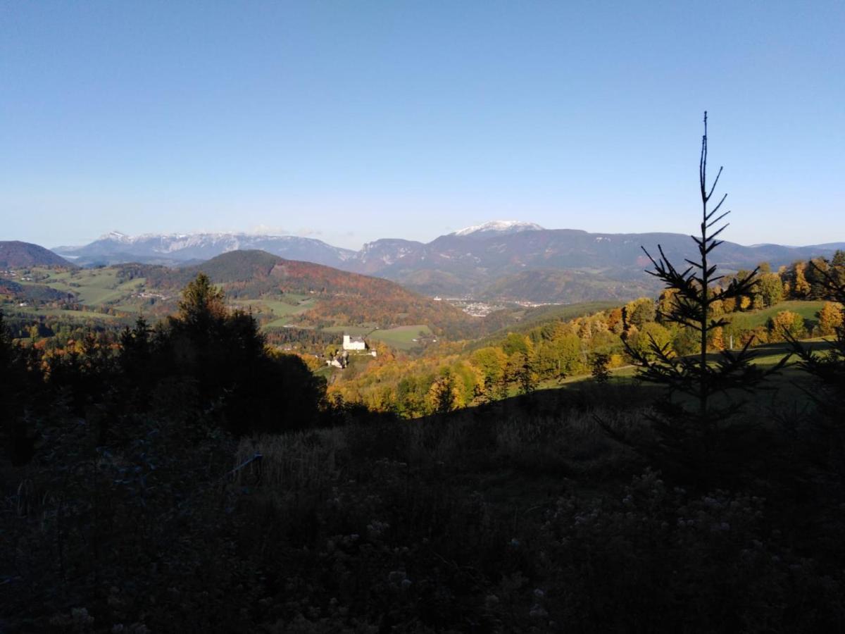 Ferienhaus Bauer Trattenbach  Dış mekan fotoğraf